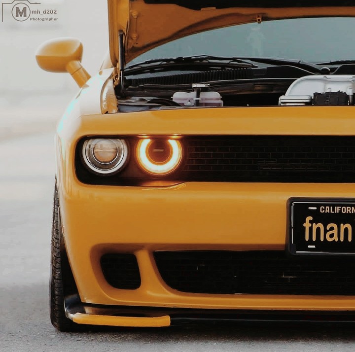 Dodge