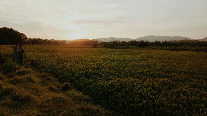 nature