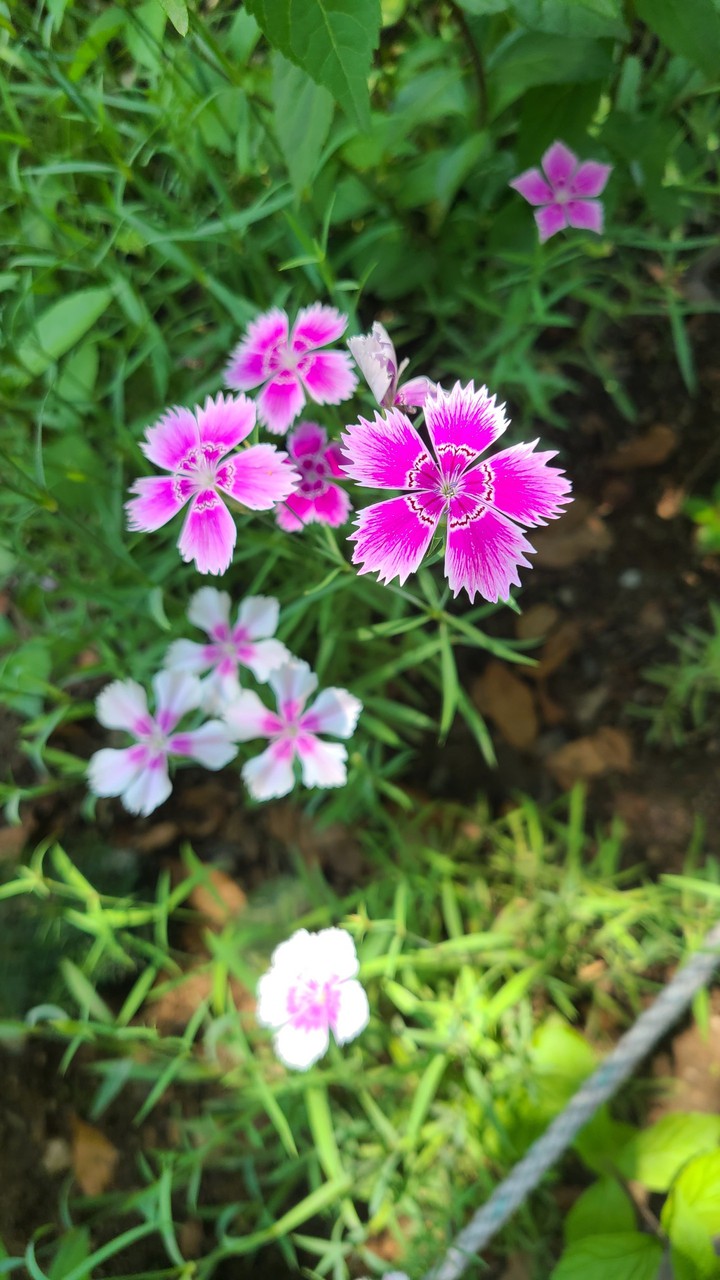 ♡