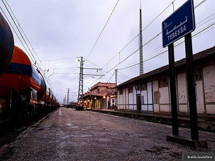 train
