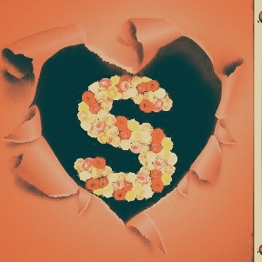 S letter