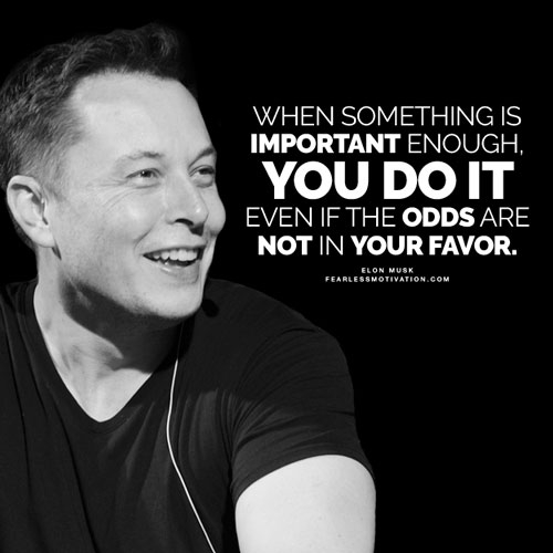 elon