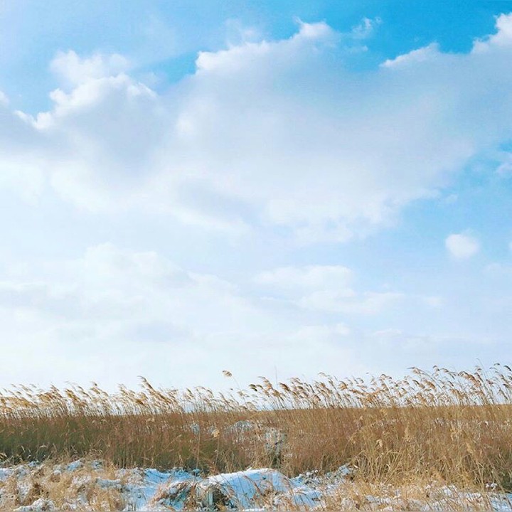 photo bt Vvvante 봄날