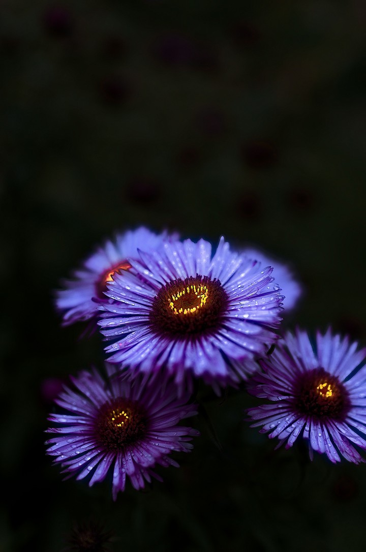 ■□■□