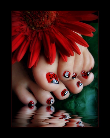 ladybug