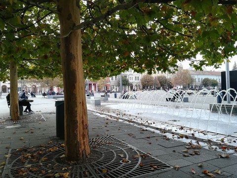 Autum