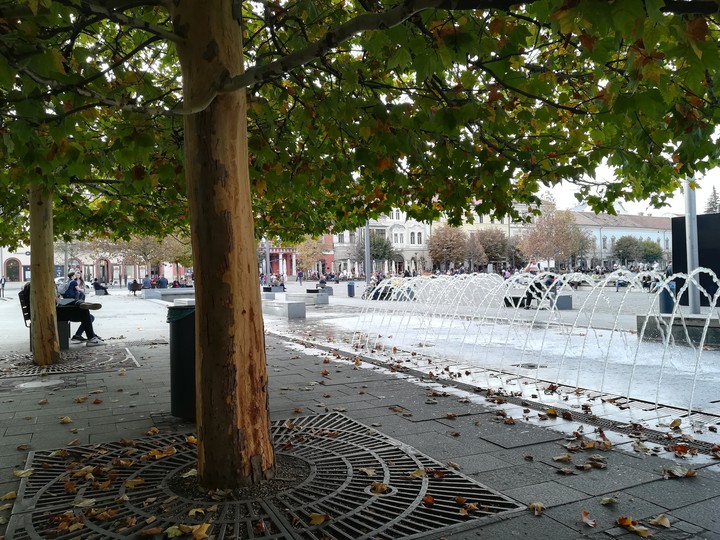 Autum