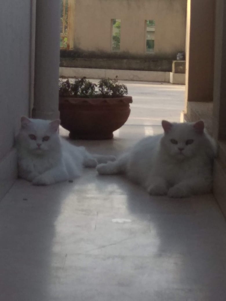 Togetherness