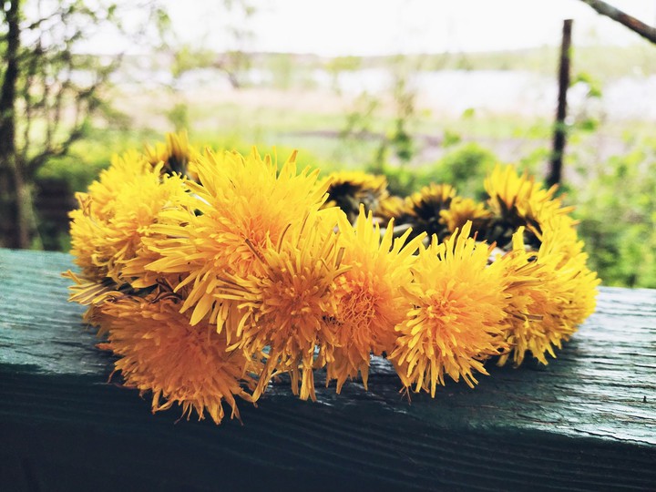 inspiration from nature