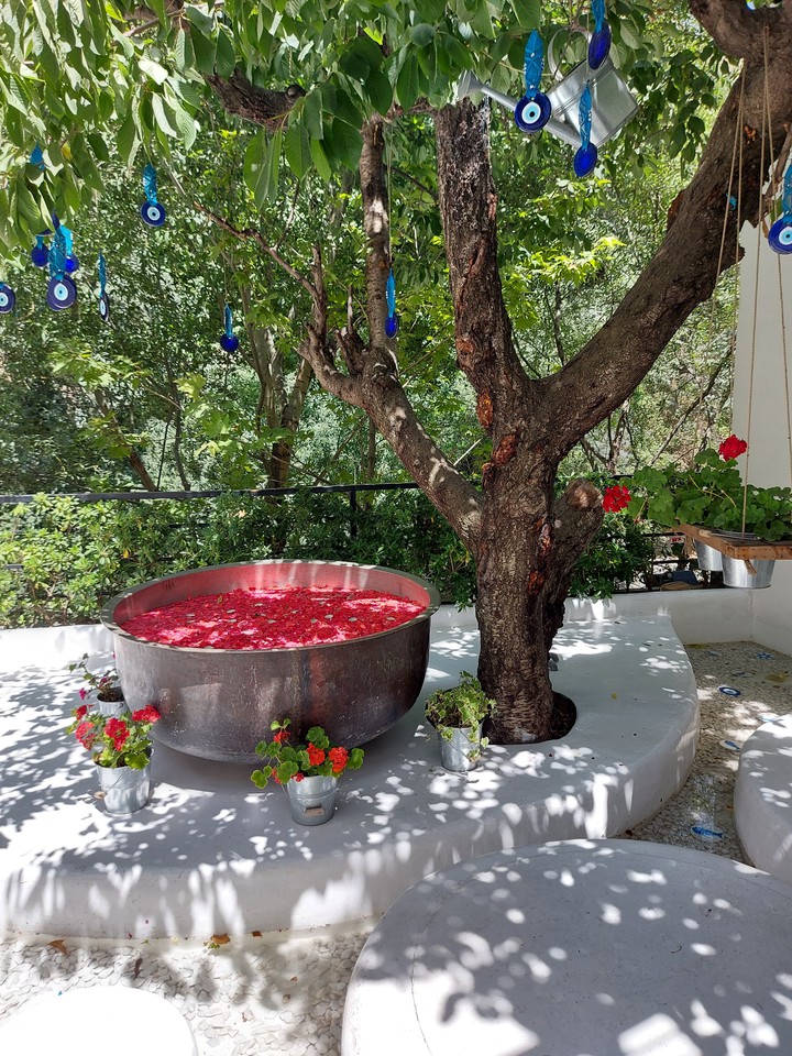 rasm-e-no resturant . flower. tree. rose