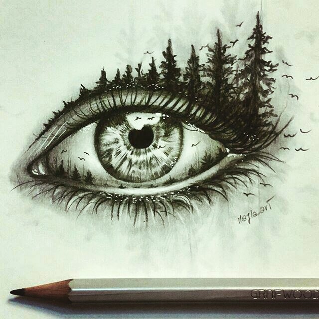 eye