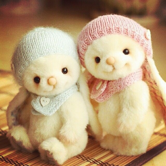 Little teddy