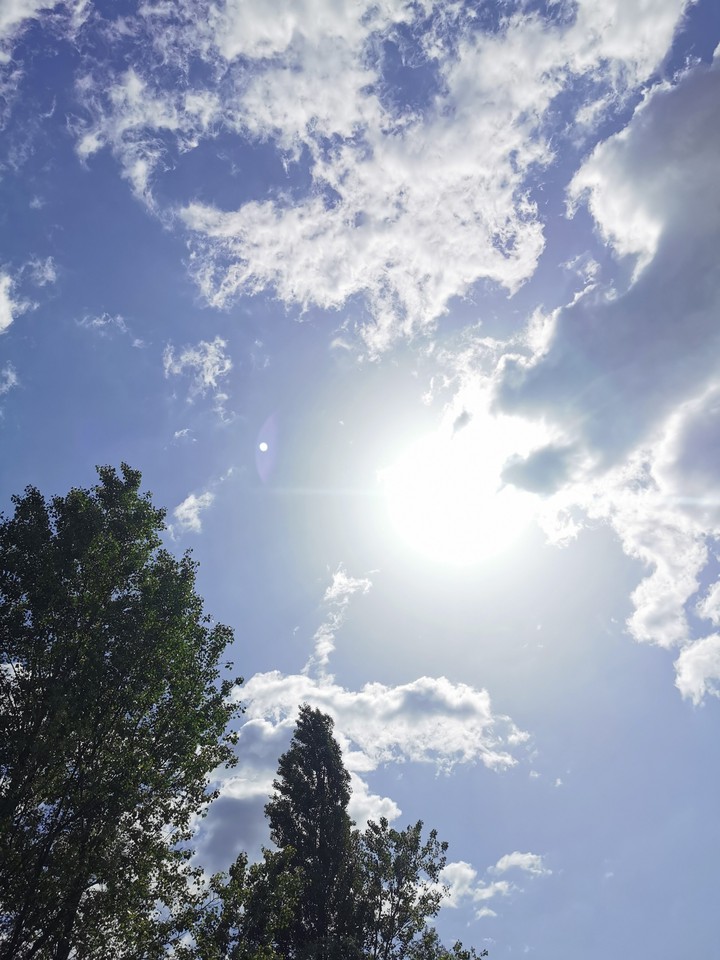 bright summer sun