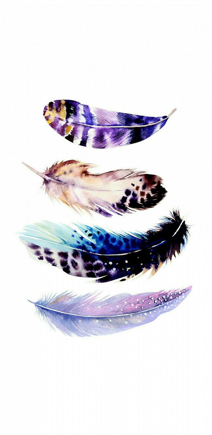 nice feathers☺