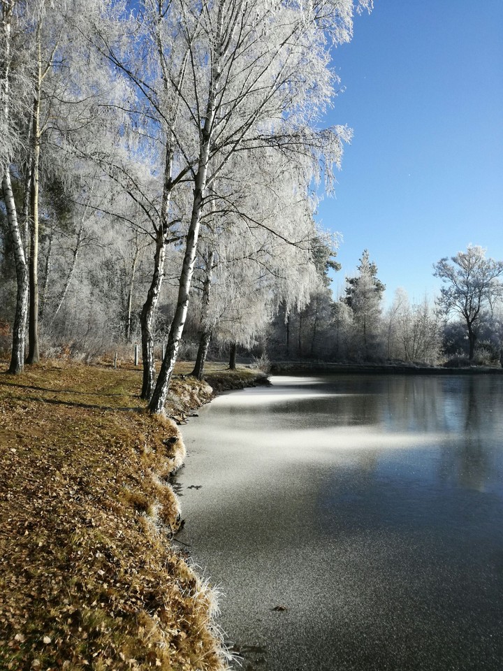 winter