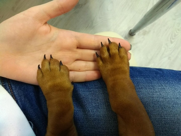 .