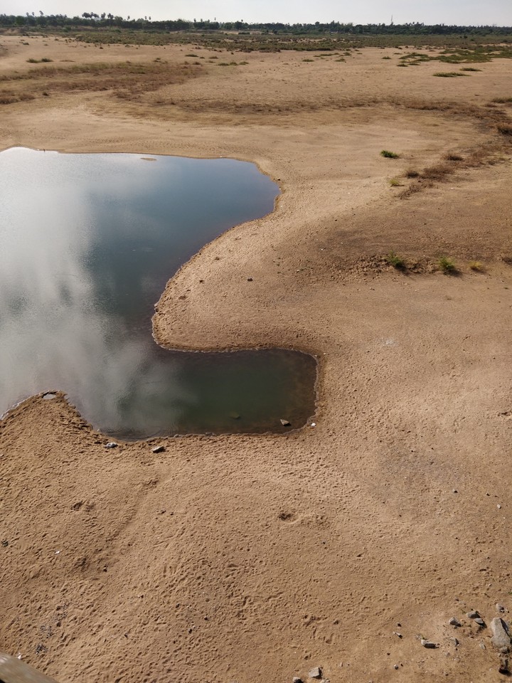 Desert Waters