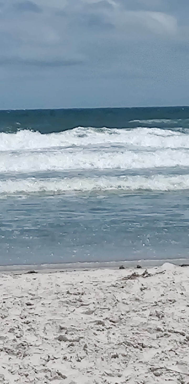 Waves