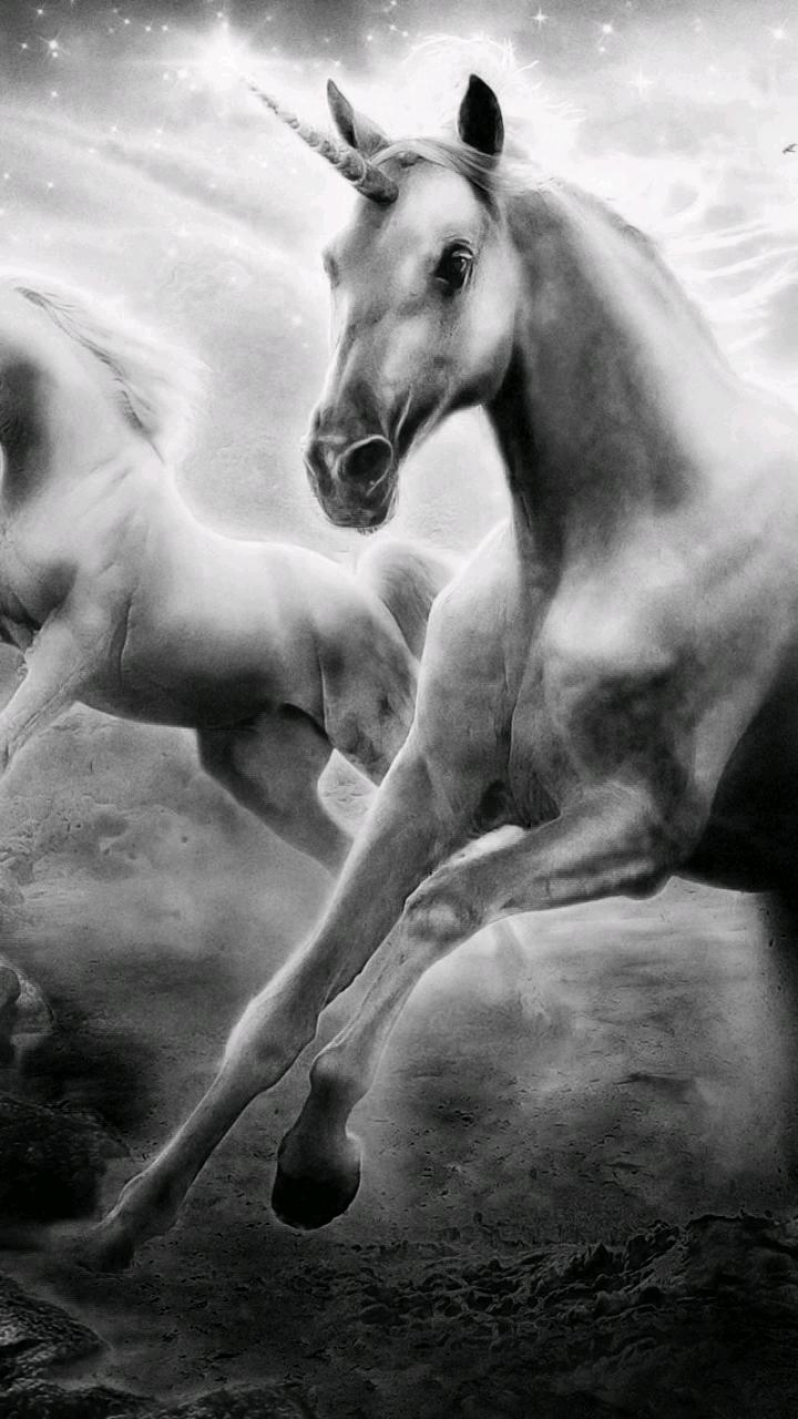#Einhorn