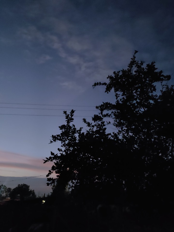 evening