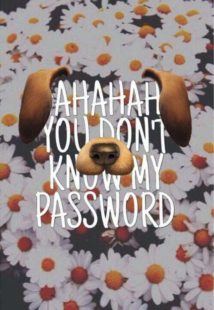 You Don't Know My Password with dog snapchat filter