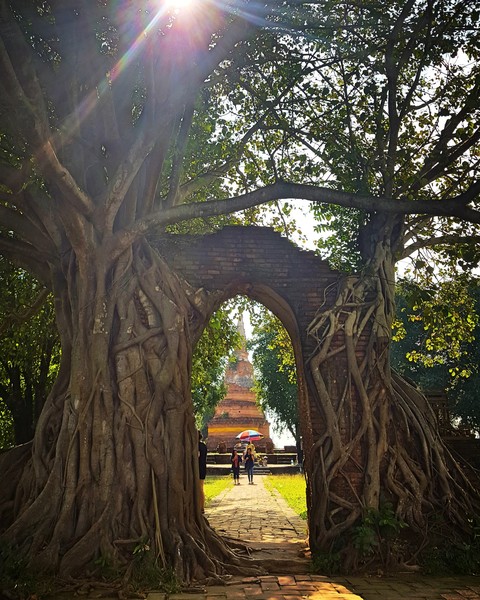 Pra-ngam Temple @Ayudhya Thailand