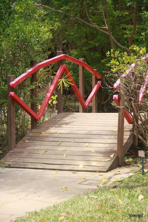 Pont japonais Japanese bridge