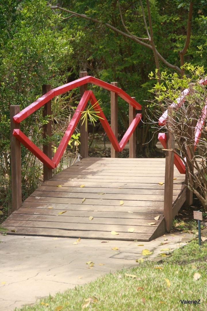 Pont japonais Japanese bridge