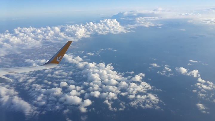 fly in the sky