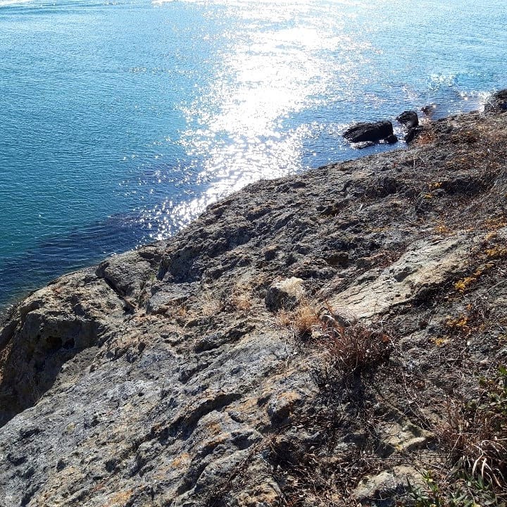 sea