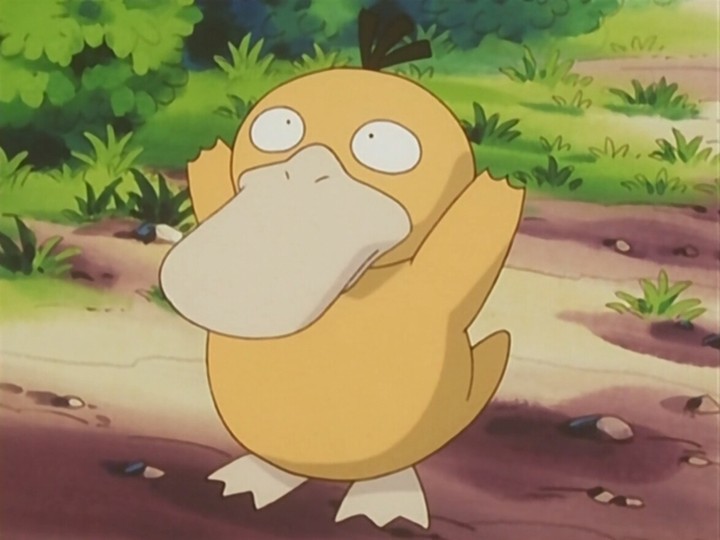 Psyduck