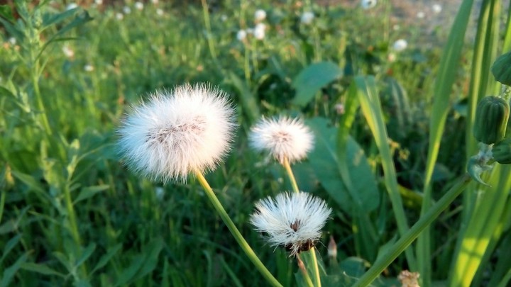 Nature's beauty