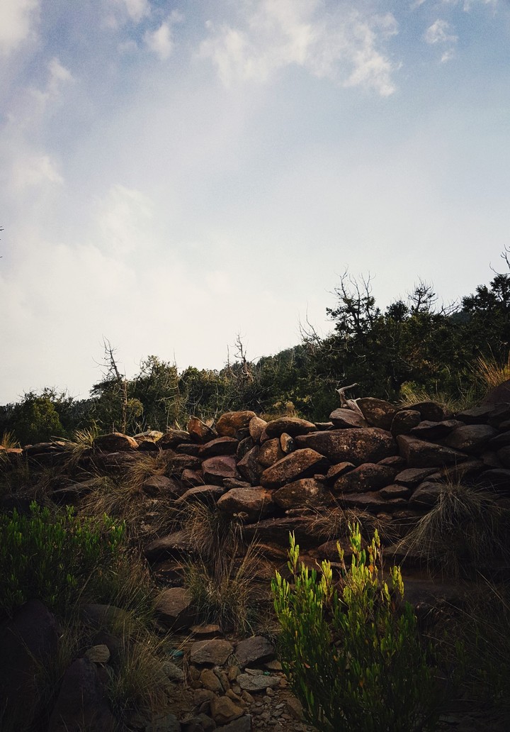 Rocks bord
