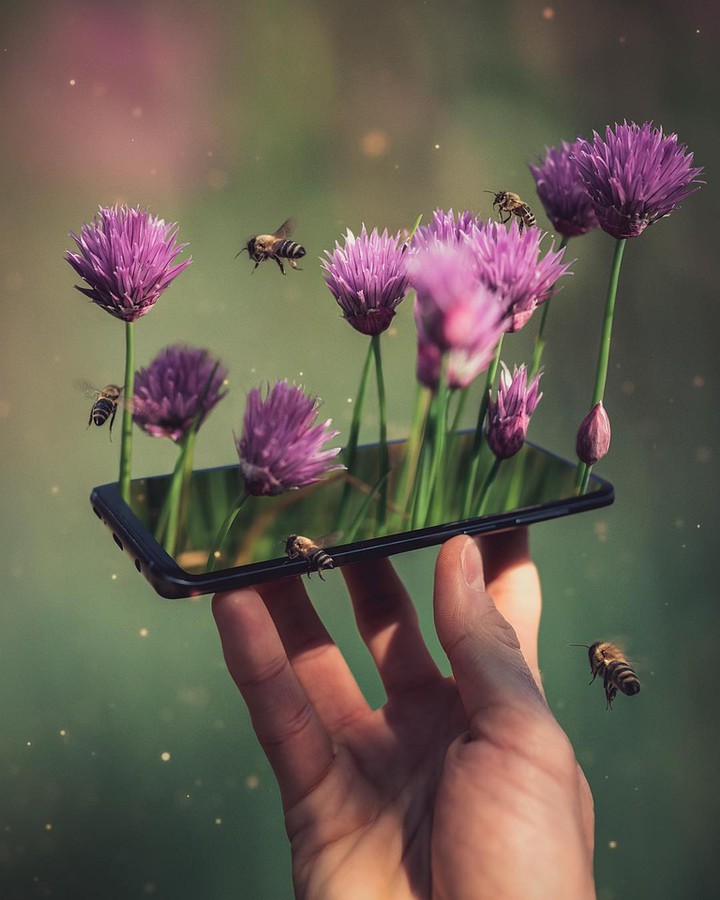 nature....