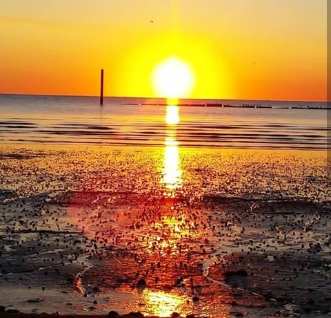 sunrise