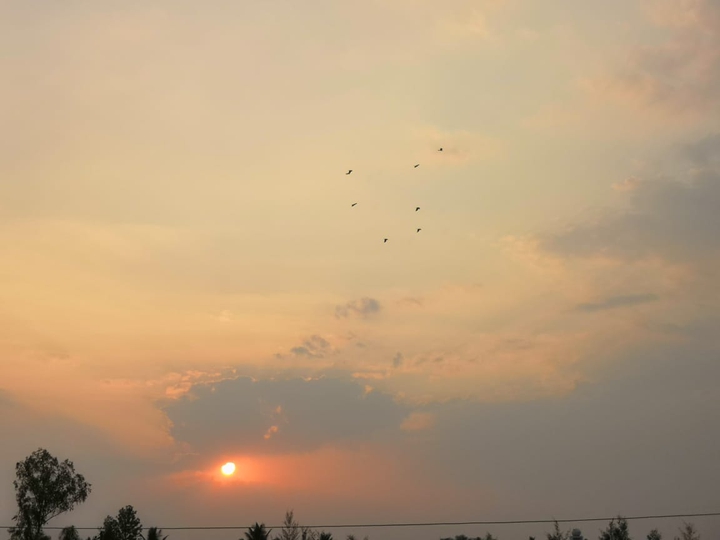 sunset