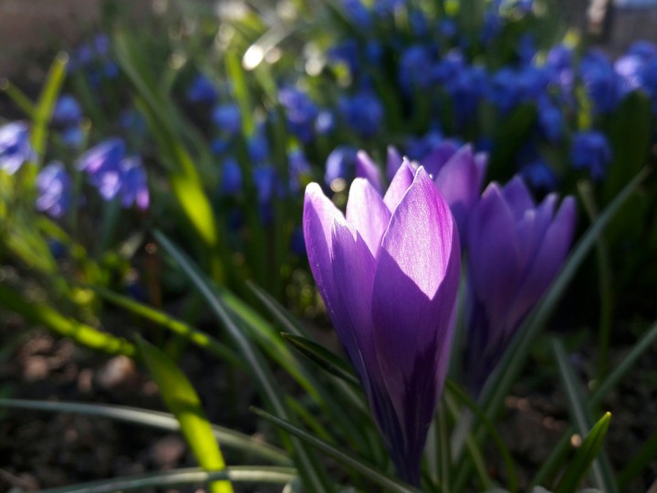 Spring day:3