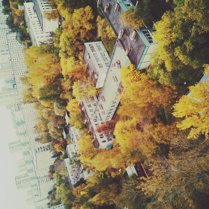 Прошлой осенью....
