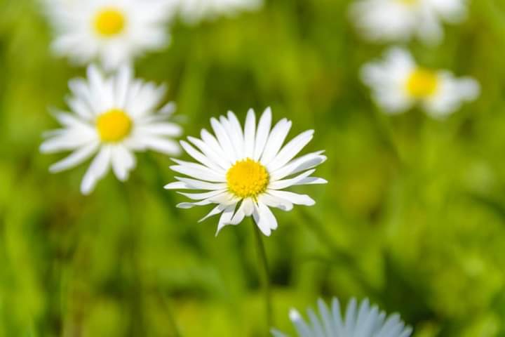 ღ✿◠‿◠✿ღ