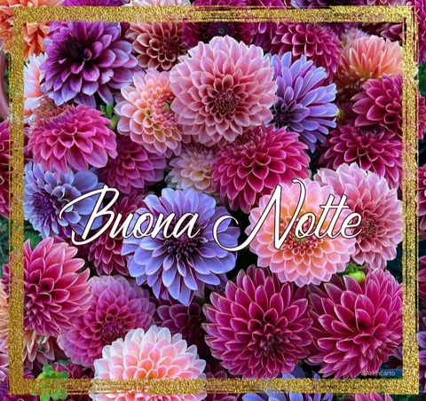 plant, auguri वॉलपेपर