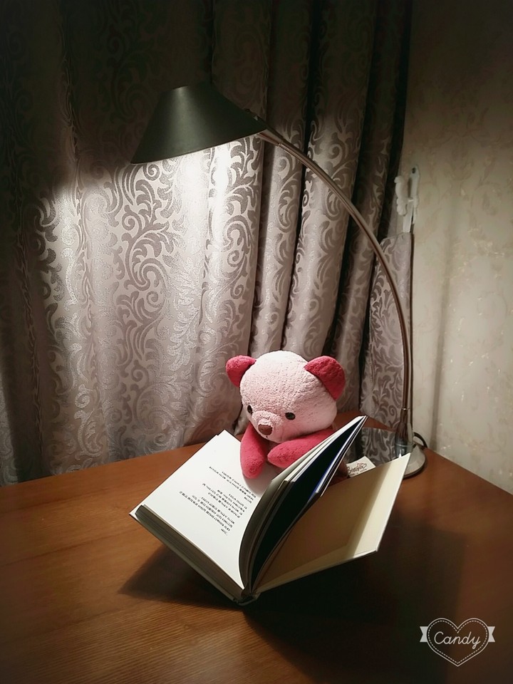 Book&Bear