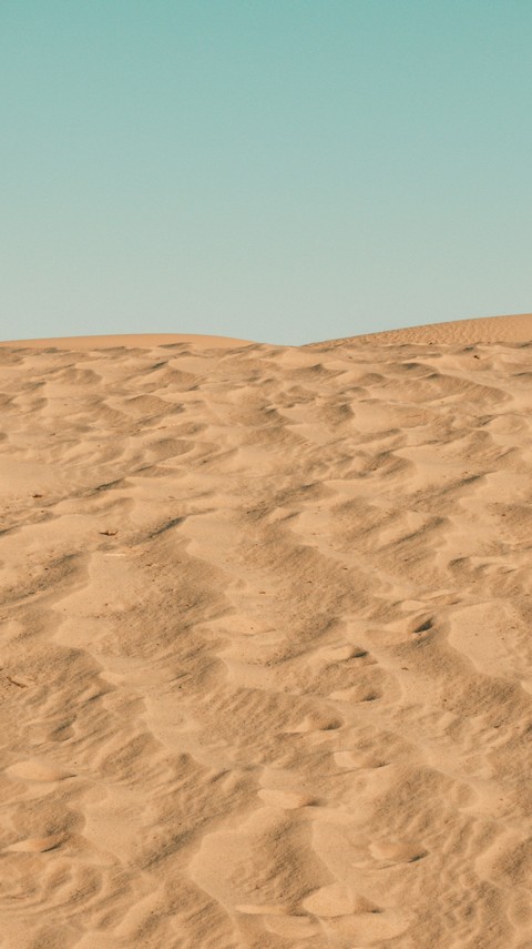 tapety brown, sahara