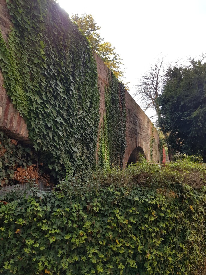 wall