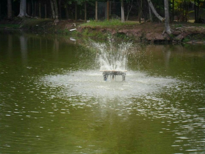 parque ecológico