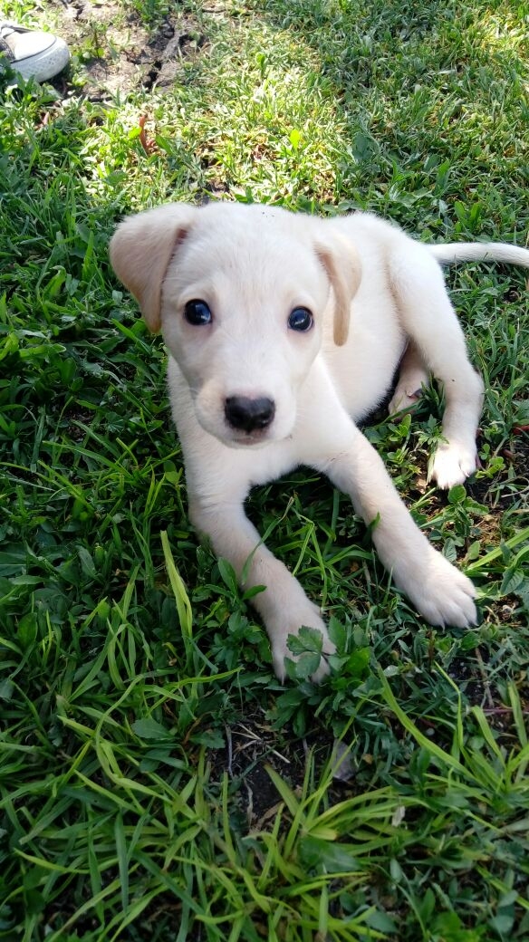 Bebe Legolas