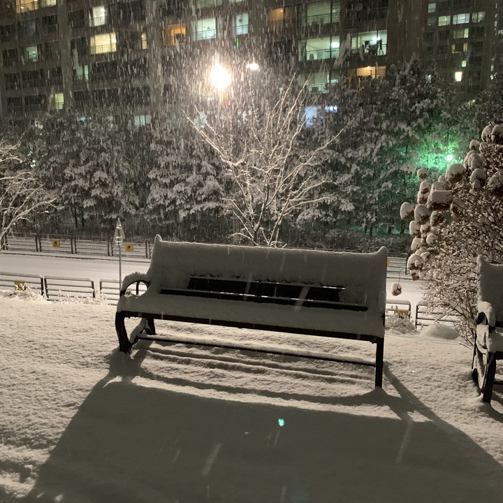 a lonely chair