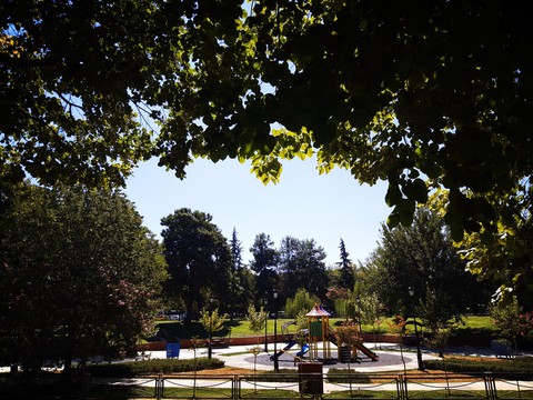 רקעים park, sunlight