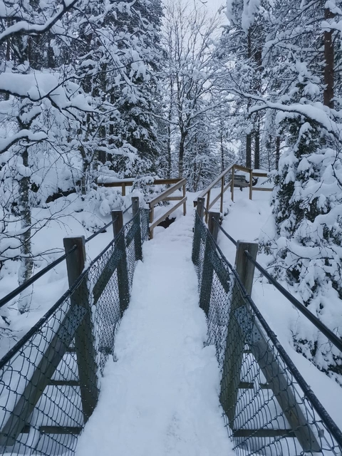snow bridge