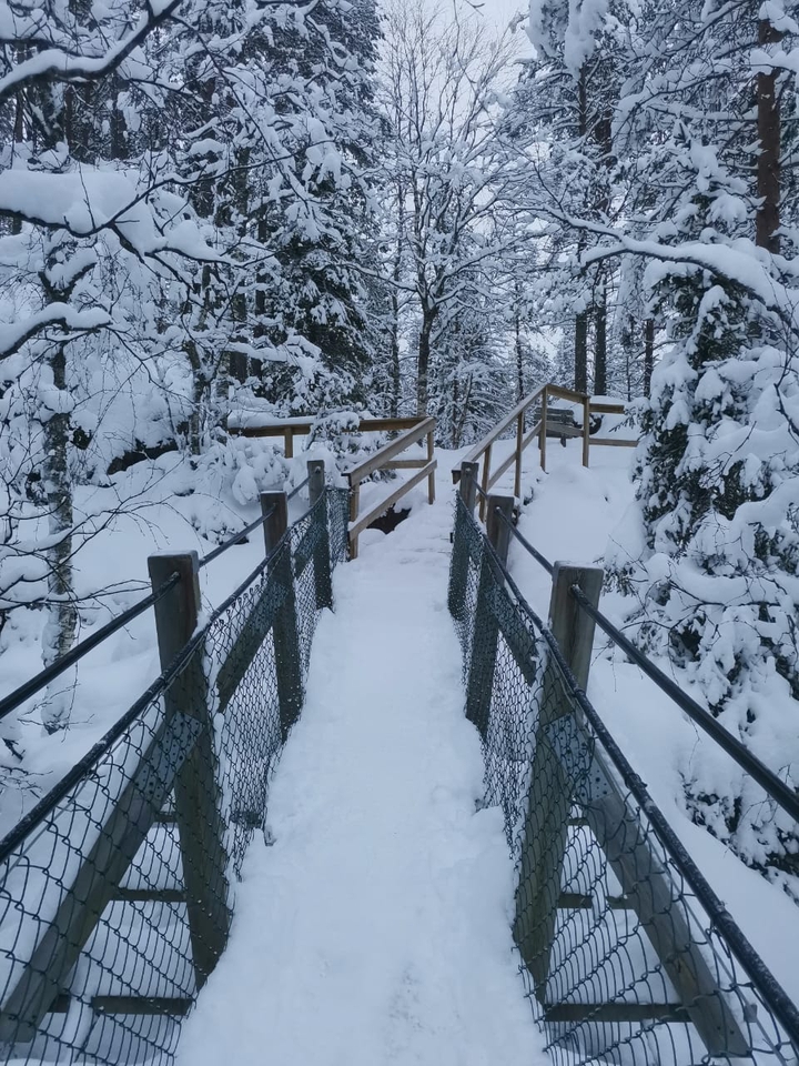 snow bridge