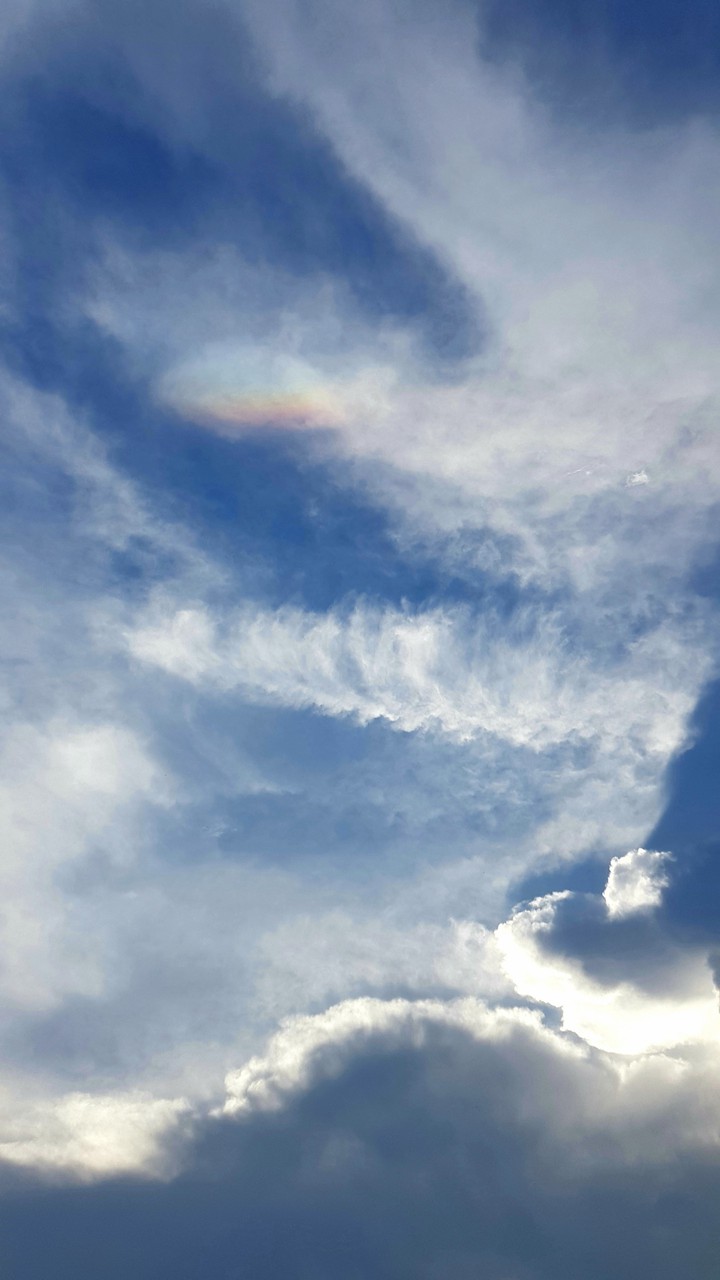 Rainbow.